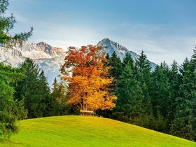 Tannhof Schnuppertage