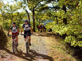 Tage der Erholung und Entschleunigung in der Vulkaneifel | 4 Tage inkl. 4-Gang-Menü