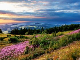Zieh an die Wanderschuh - 4 Tage in der Rhön in Thüringen