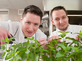 Kurzurlaub am Wattenmeer in Nordfriesland | 3 Tage