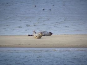 Kurzurlaub am Wattenmeer in Nordfriesland | 3 Tage