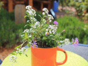 4 Tage Usedom, Urlaub auf der Sonneninsel, direkt am Meer 