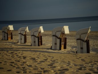 Bild 37 von 37