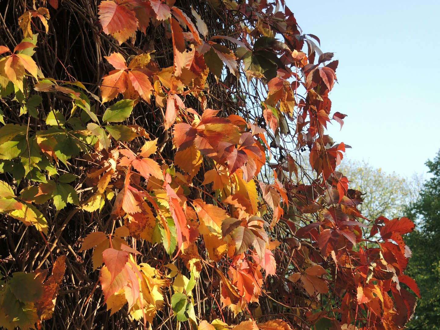 Indian Summer auf der Sonneninsel Usedom erleben