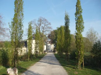 Romantiknacht auf der Burg inkl. Vesperplatte & Wein | 2 Tage am Niederrhein