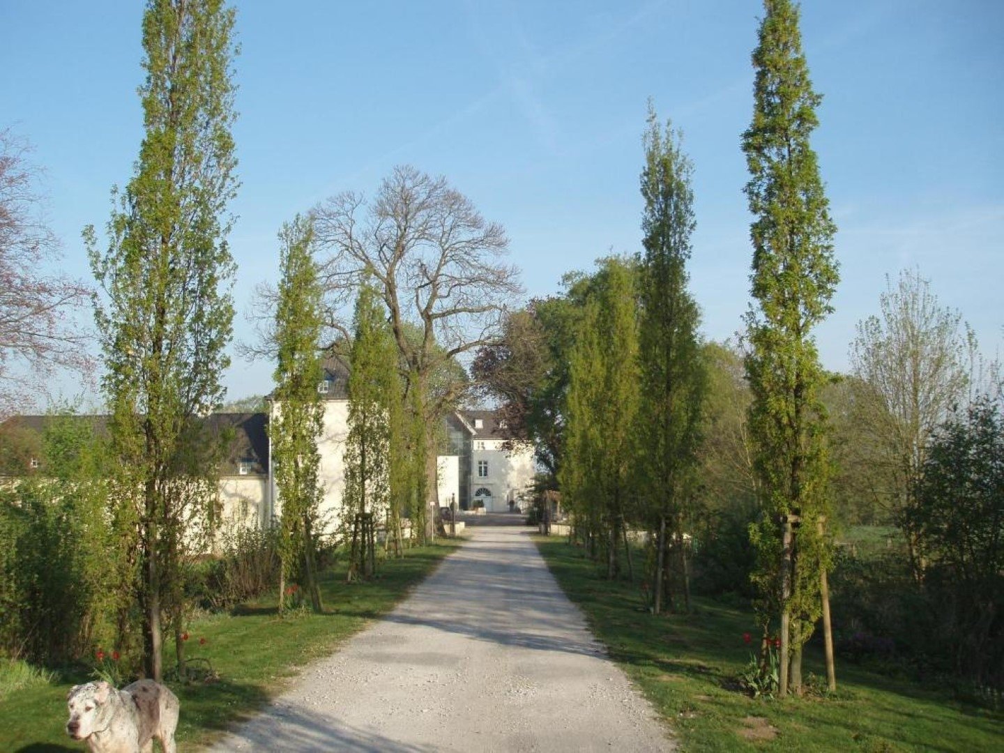 Romantiknacht auf der Burg inkl. Vesperplatte & Wein | 2 Tage am Niederrhein