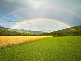 3 Tage Genießerwochenende im Sauerland inkl. 5-Gang-Feinschmeckermenü