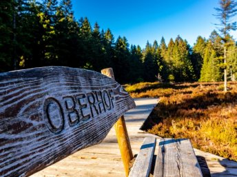 Schnuppertage im Thüringer Wald inkl. 1x Abendessen