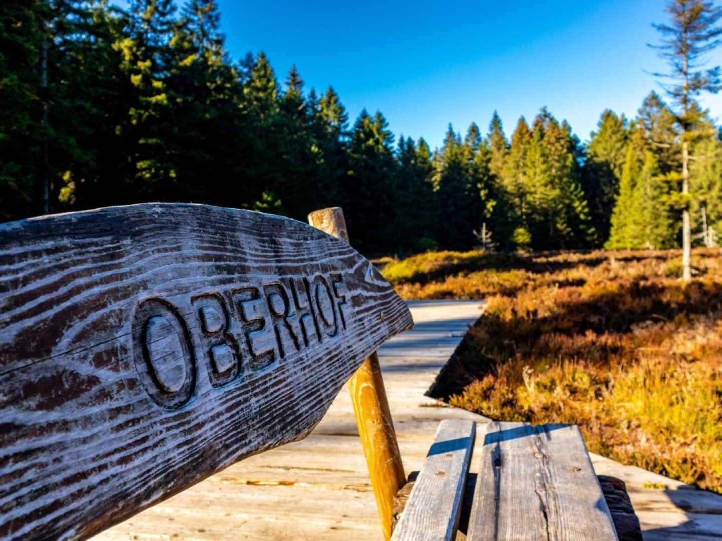 Schnuppertage im Thüringer Wald inkl. 1x Abendessen
