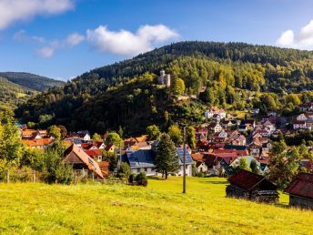 Schnuppertage im Thüringer Wald inkl. 1x Abendessen