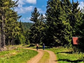 Aktiv & sportlich im Thüringer Wald inkl. Therme und Abendessen