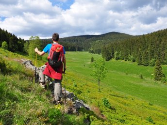Herbstzauber am Rennsteig im Thüringer Wald