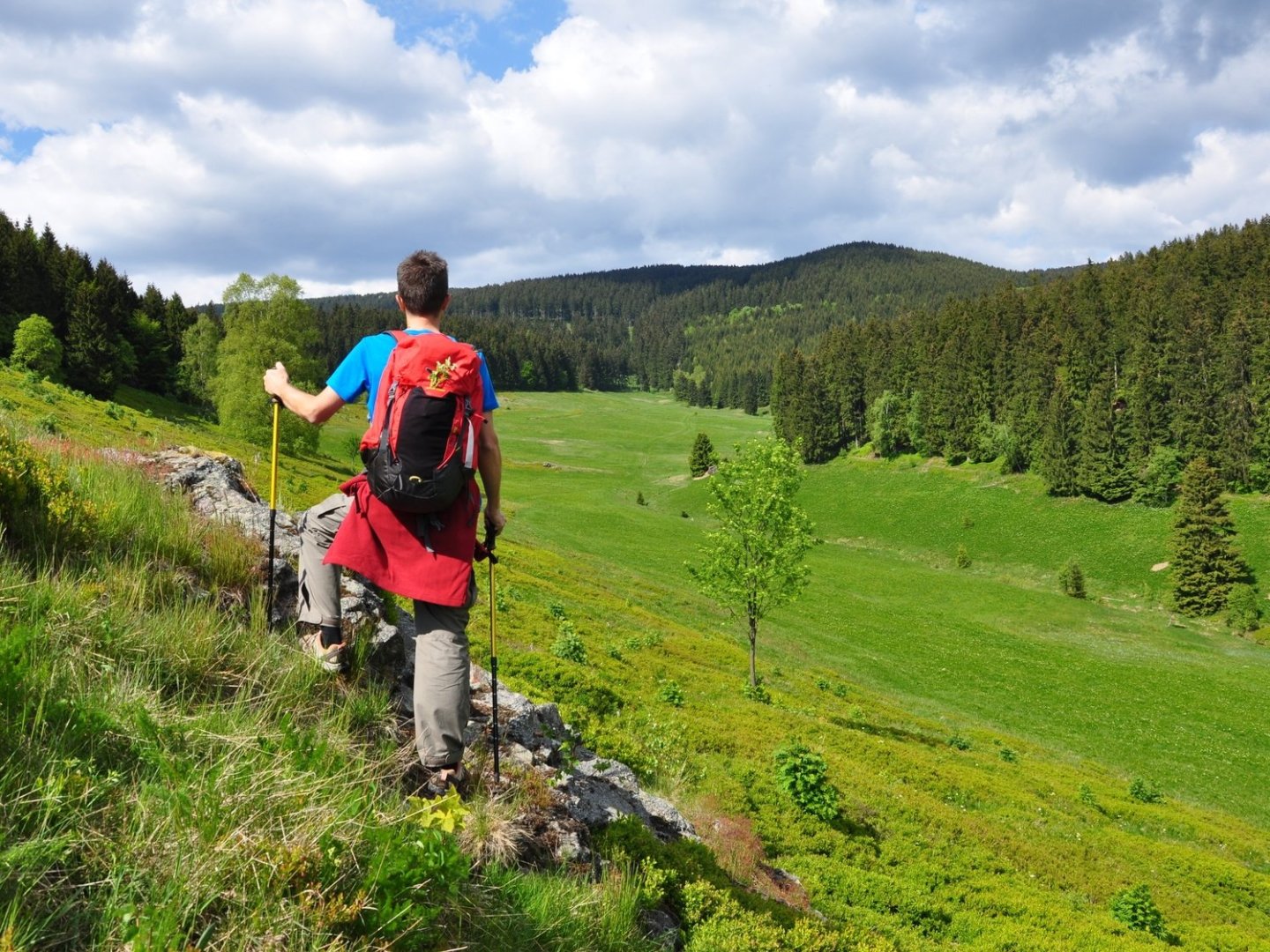 Herbstzauber am Rennsteig im Thüringer Wald