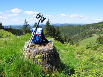 5=4 Aktion - Anreise Sonntag/Monntag! Den Thüringer Wald erleben - Natur pur geniessen!