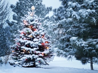 Weihnachten in Wagners Sporthotel Oberhof
