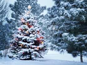 Weihnachten in Wagners Sporthotel Oberhof