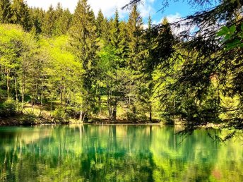 Frühling am Rennsteig - 2 Übernachtungen