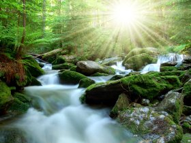 Harz-Kurztrip - 5 Tage  