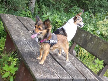 Balance statt Burnout im Teutoburger Wald