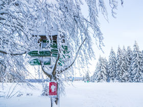 Murmelspaß - Familienferien im Thüringer Wald 