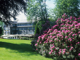 Midweek-Auszeit inkl. Massage & Abendessen sowie SauerlandCard