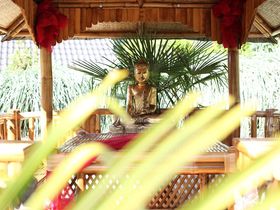 Jubeln Sie mit! 35 Jahre Landhotel Grimmeblick inkl. Halbpension & Anwendung | 3 Tage