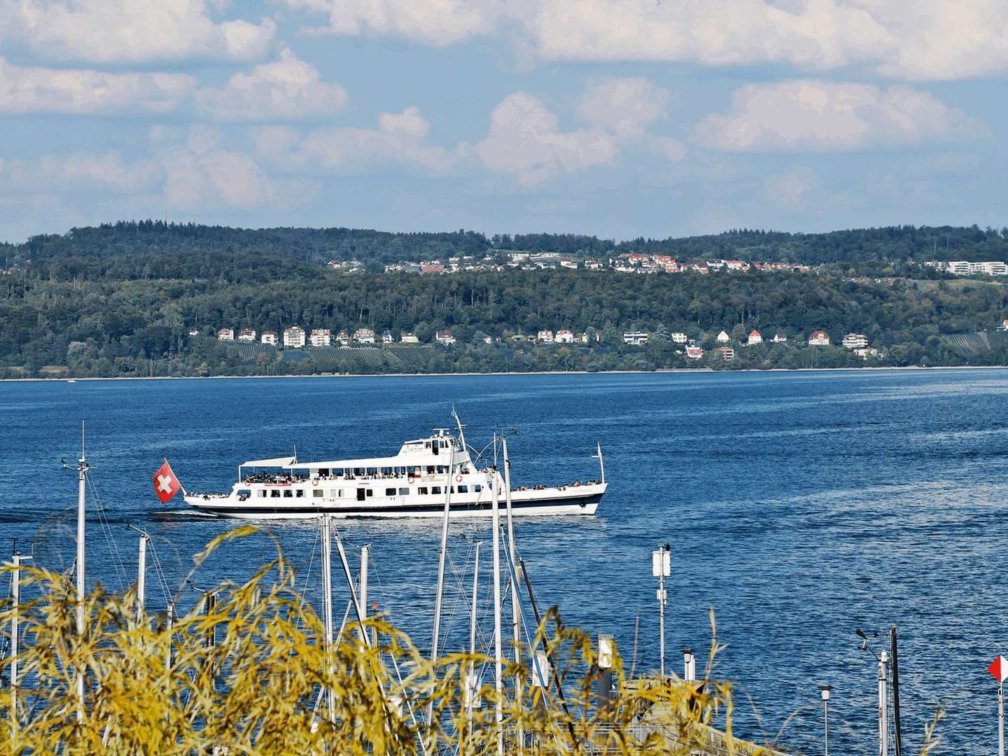 Flower-Power auf der Mainau- 3 Tage am Bodensee 2025