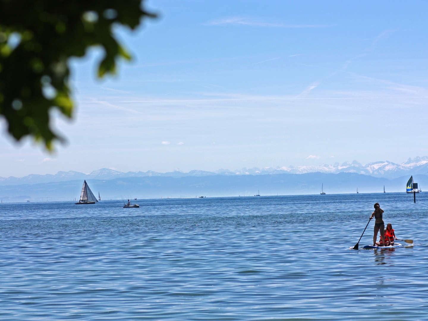 Flower-Power auf der Mainau- 3 Tage am Bodensee 2025