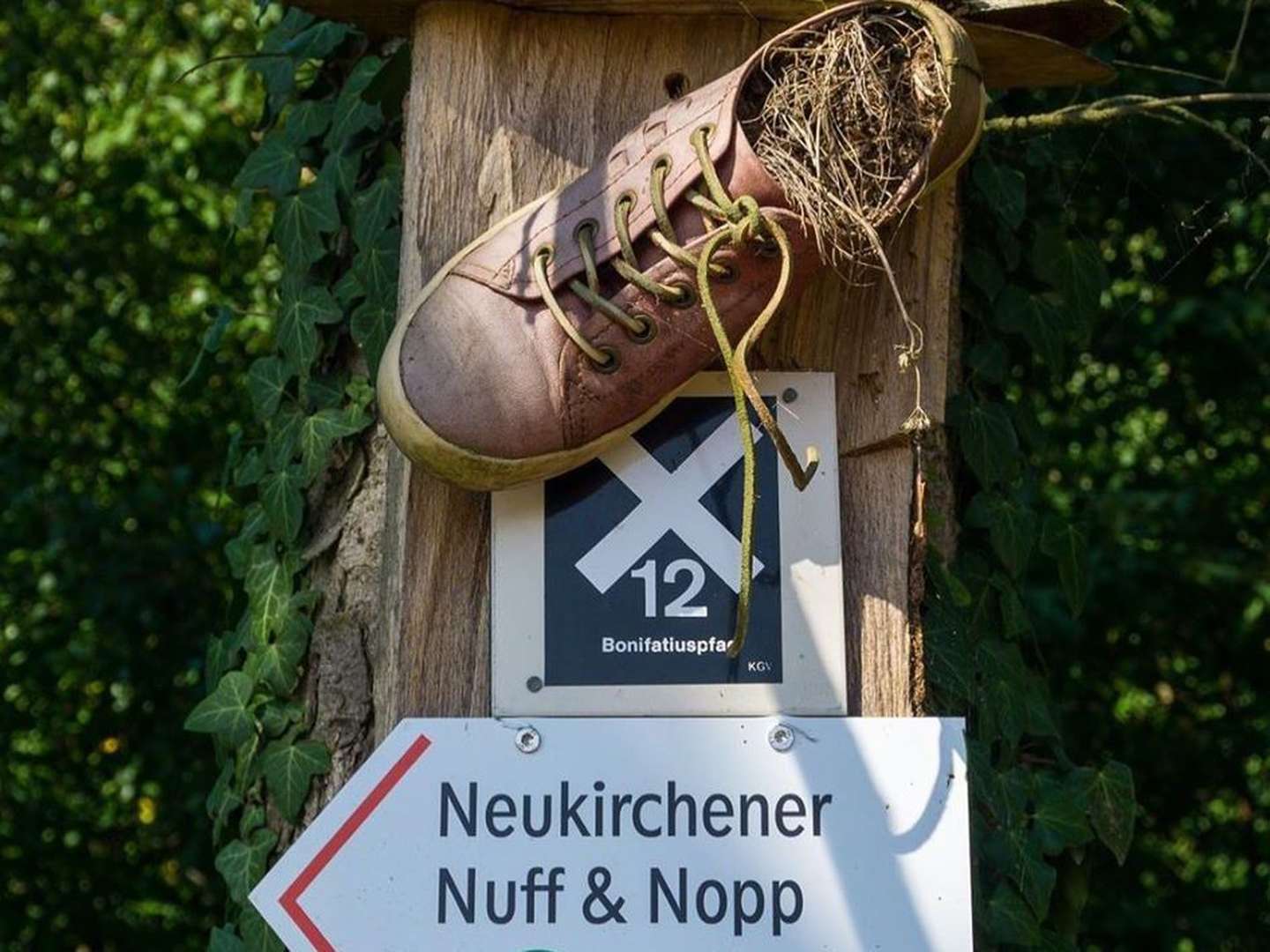 Ostern, Pfingsten, Himmelfahrt oder Fronleichnam im Naturpark Knüllgebirge| 4 Tage