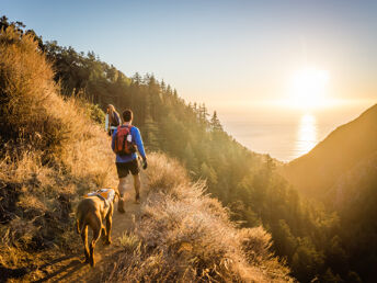 Auch ein Hund braucht mal Urlaub im Schwarzwald | 6 Tage
