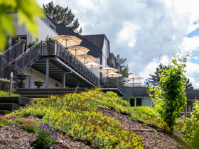 Wandern. Wellness. Walderlebnis. für Natur-Genießer - 3 Tage in der Pfalz