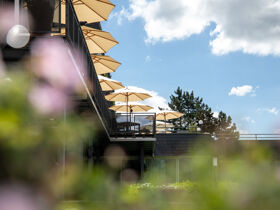 Wandern. Wellness. Walderlebnis. für Natur-Genießer - 3 Tage in der Pfalz