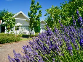 Romantiktage in Boltenhagen inkl. Dinner