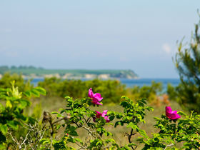Romantiktage in Boltenhagen inkl. Dinner