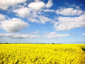 Romantiktage in Boltenhagen inkl. Dinner