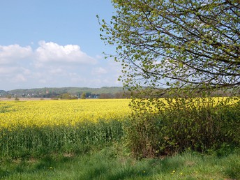Bild 27 von 33