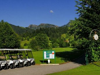 SPECIAL DEAL - Wellnesszeit ist Quality Auszeit in Steibis