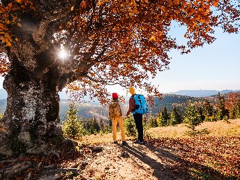 Alltagspause im hessischen Bergland: 4 Tage Kurzurlaub
