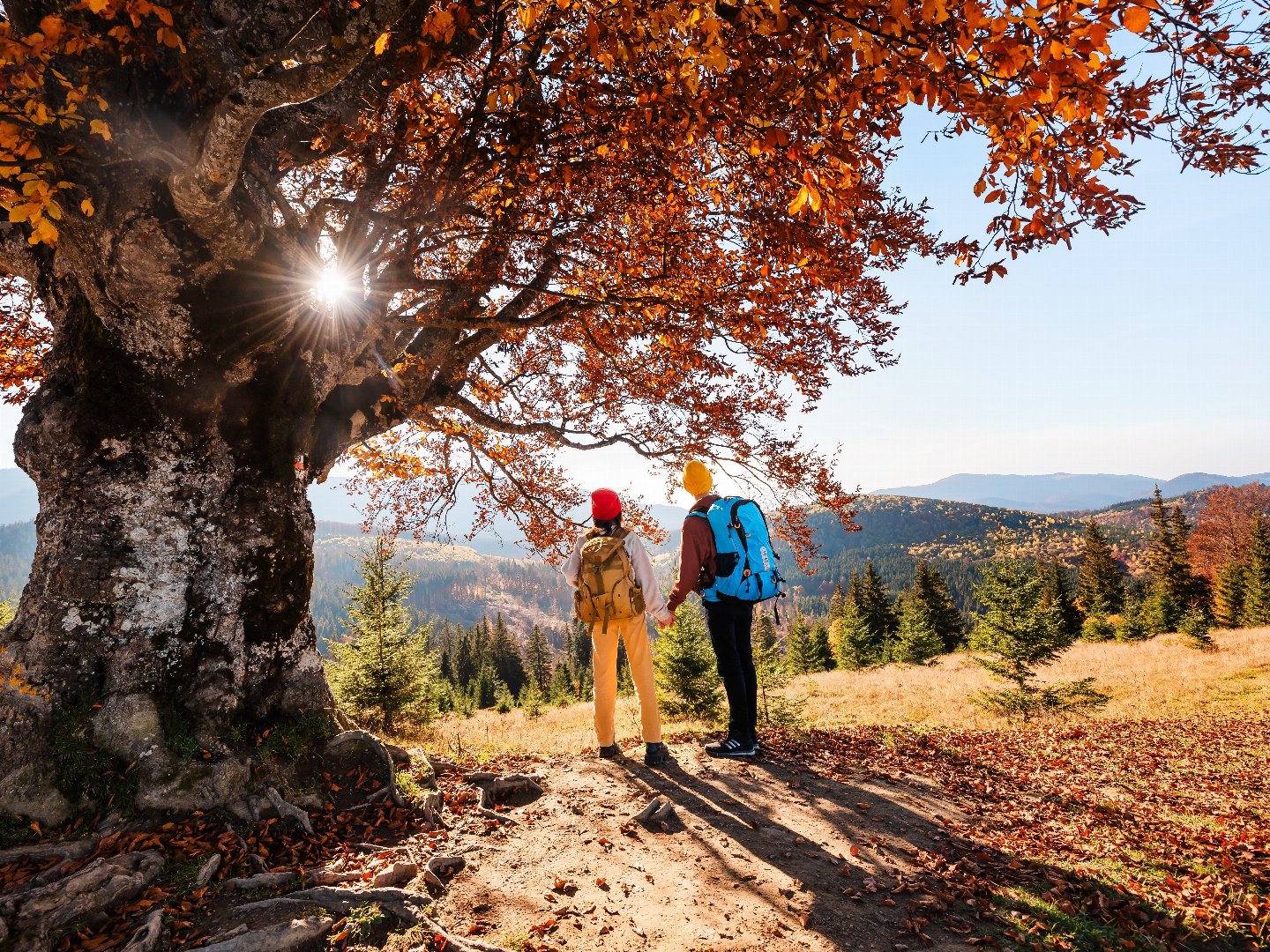 Alltagspause im hessischen Bergland: 4 Tage Kurzurlaub