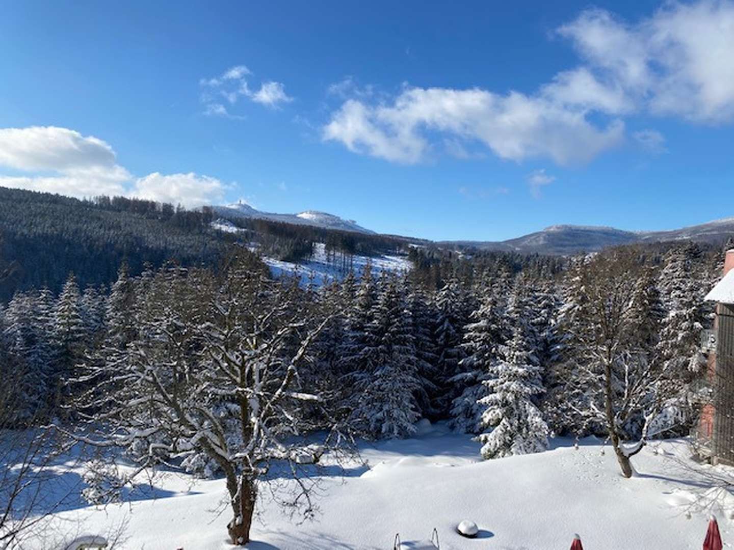 6 Tage Brockenblick Familie-Special - Kinder bis 12 Jahre reisen gratis!
