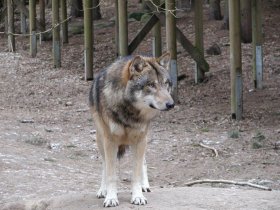 Natur & Genuss Erlebnis