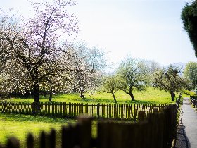 Karnevalsflucht- das Ruhepaket