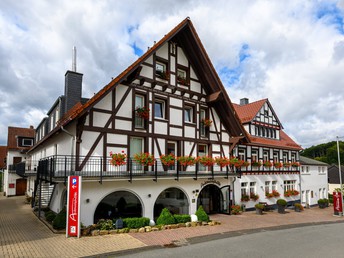 Tannenbaumschlagen im Advent im Sauerland + Wanderung durch den Eisborner Winterwald