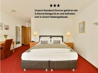 Tannenbaumschlagen im Advent im Sauerland + Wanderung durch den Eisborner Winterwald