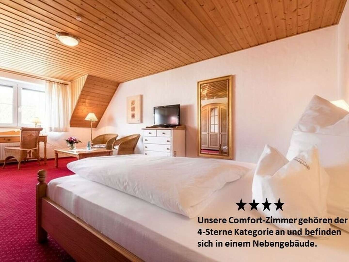 Tannenbaumschlagen im Advent im Sauerland + Wanderung durch den Eisborner Winterwald