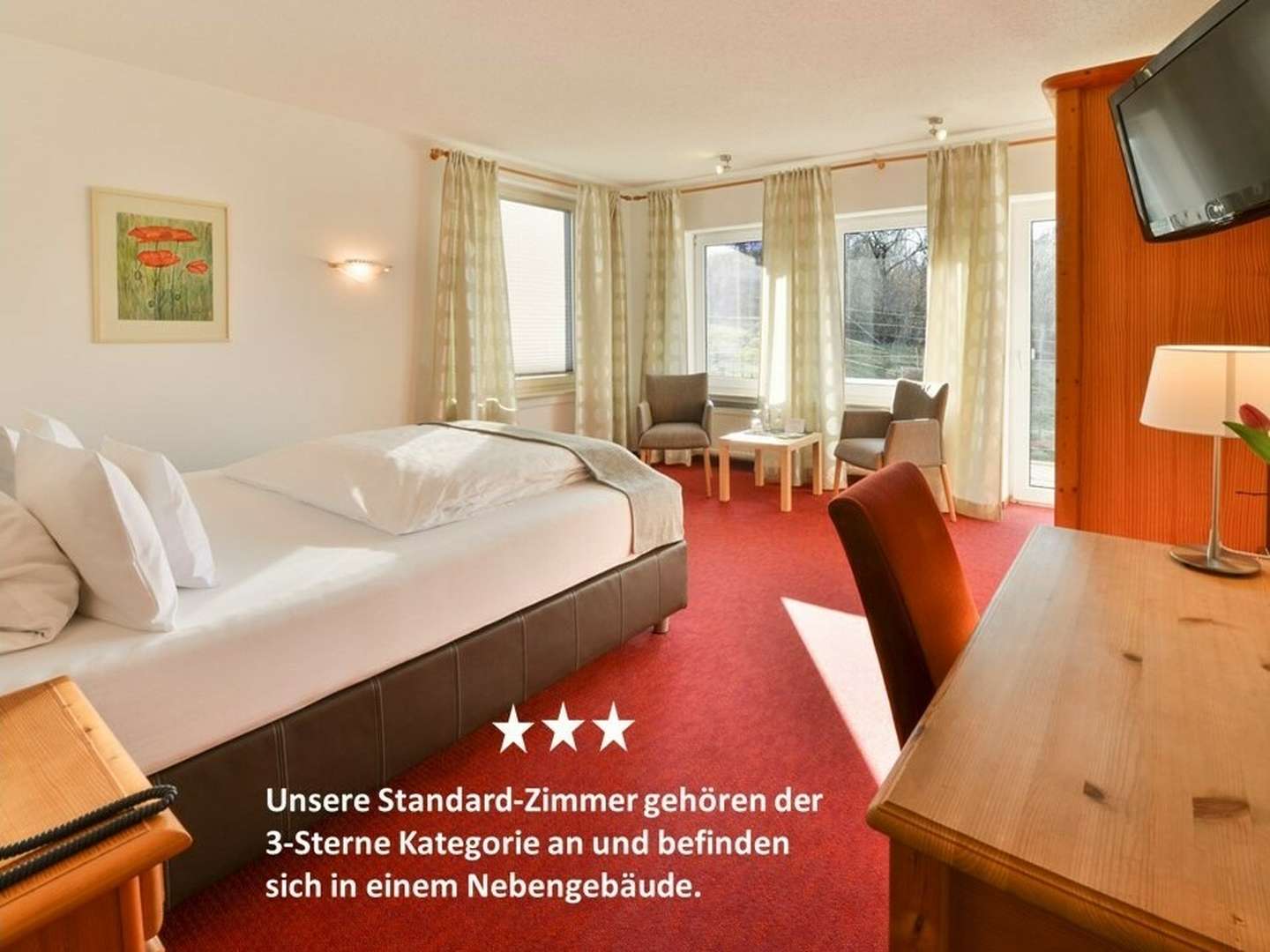 Tannenbaumschlagen im Advent im Sauerland + Wanderung durch den Eisborner Winterwald