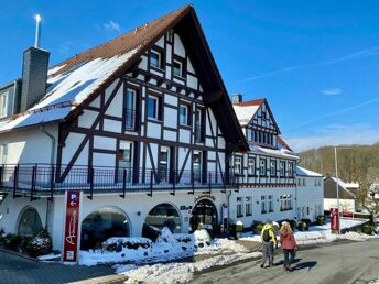 Tannenbaumschlagen im Advent im Sauerland + Wanderung durch den Eisborner Winterwald