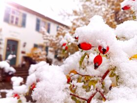 Silvester vor den Toren Bambergs & die romantische Fränkische Schweiz 