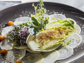 Green Days - Schwarzwald mit Baumwipfelpfad