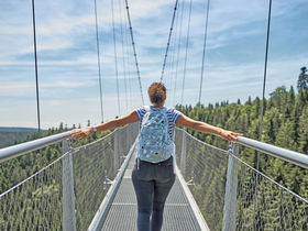 Green Days - Schwarzwald mit Baumwipfelpfad